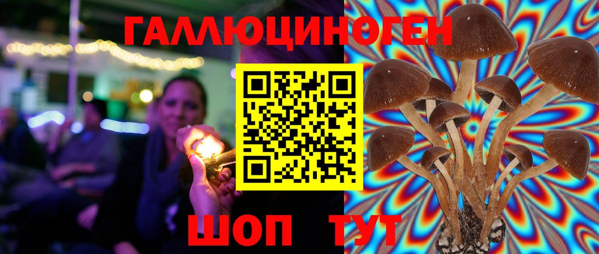 Галлюциногенные грибы MAGIC MUSHROOMS  Вход с VPN  Георгиевск 