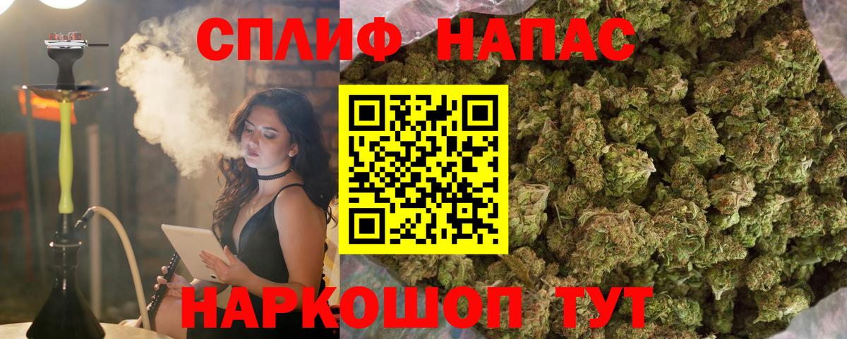 Георгиевск  Бошки Шишки гибрид  Вход с VPN  Марихуана White Widow  Шишки марихуана White Widow  Шишки марихуана THC 21% 