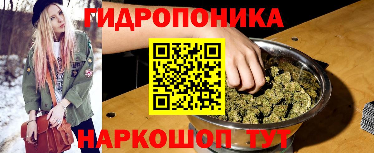 Конопля гибрид Георгиевск